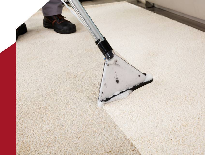 carpet-cleaning-auckland-the-cleaning-crew